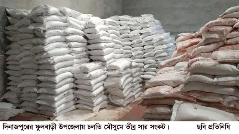 ফুলবাড়ীতে তীব্র সার সংকট