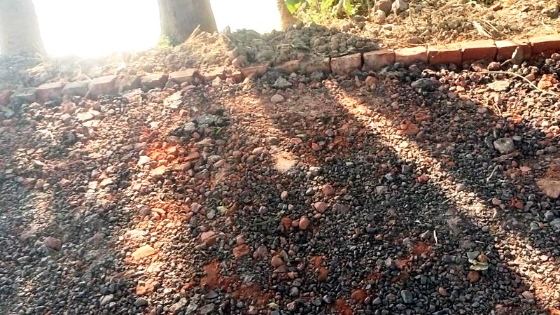 তানোরে এলজিইডির রাস্তার কাজে ব্যাপক অনিয়ম!! কাজ শুরুর আগে সাইনবোর্ড দেয়ার দাবি