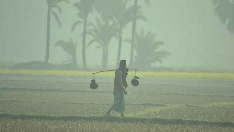 দেশের যেসব জেলায় বইছে মৃদু শৈত্যপ্রবাহ