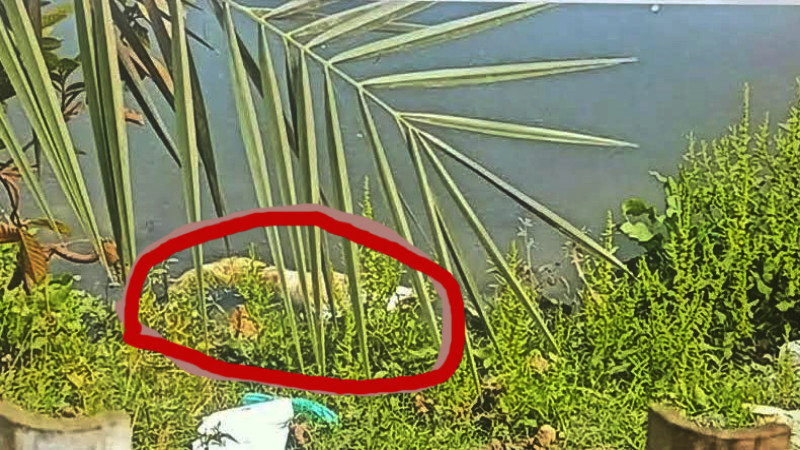 যশোরে ভোলা ট্যাঙ্ক পুকুরে অজ্ঞাত ব্যক্তির পা ভাসতে দেখে এলাকায় আতঙ্ক