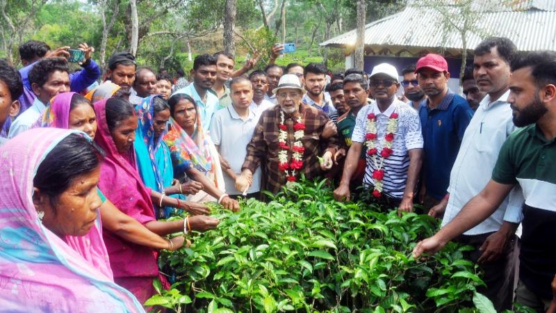 মালিক-শ্রমিক ঐক্যের মাধ্যমে চা শিল্পের ঐতিহ্য ফেরাতে হবে: রাগীব আলী