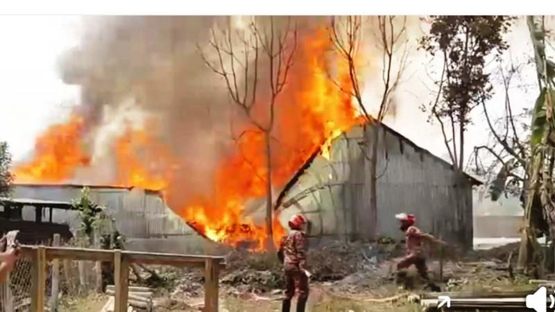 তানোরে চাতালের ভিতরে তুলার গুদামে আগুন পুড়ে ছাই