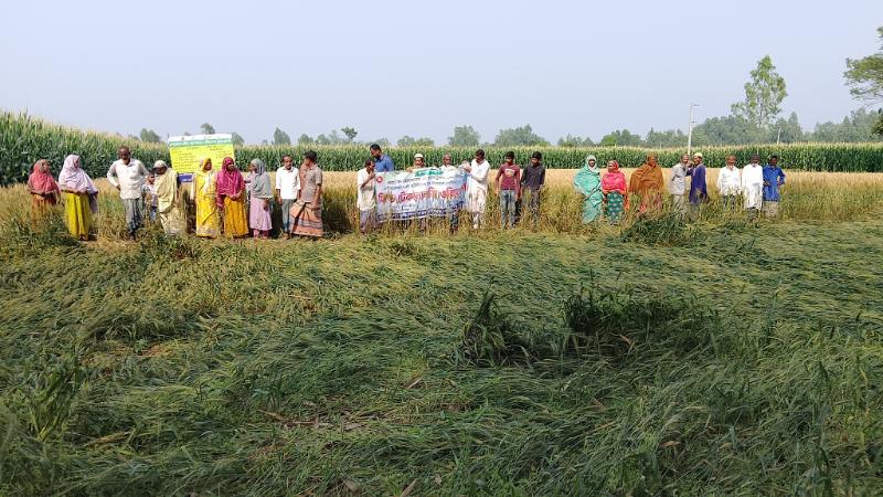 রাণীশংকৈলে ৫০জন কৃষক পাটনার প্রকল্পের ফিল্ড টেকনোলজি ওরিয়েন্টশন অনুষ্ঠিত