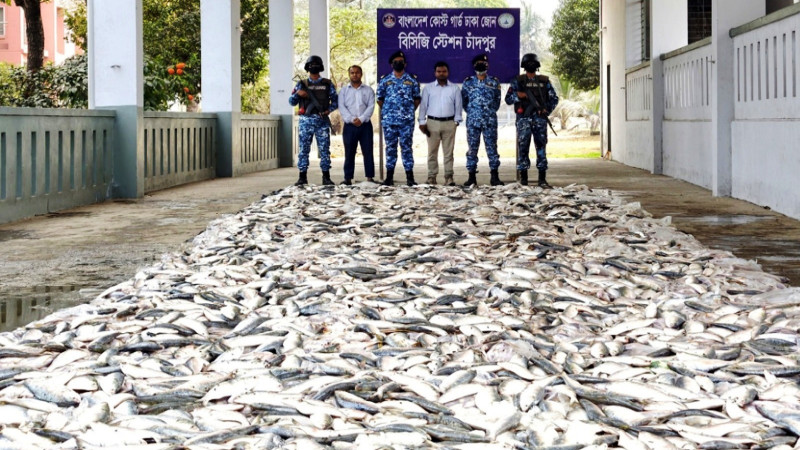 চাঁদপুরে ১২৭ মণ জাটকা জব্দে ১০ জেলের কারাদন্ড