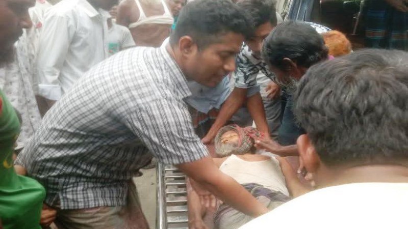 চাঁদপুরের রামপুরে গাছ থেকে পড়ে শ্রমিকের মৃত্যু