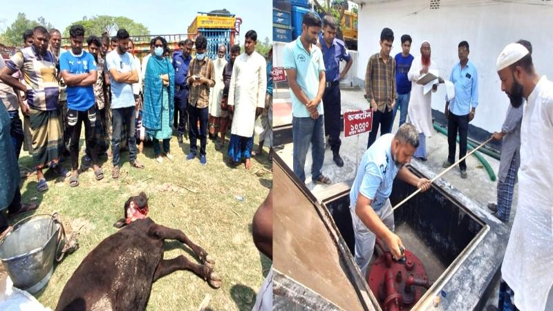নন্দীগ্রামে ভ্রাম্যমাণ আদালতের অভিযান অসুস্থ গরুর জবাই করায় জরিমানা, ফিলিং স্টেশন পরিদর্শন