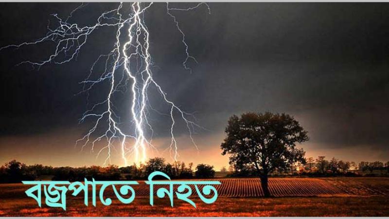 বোদায় ঘাস কাটতে গিয়ে বজ্রপাতে নিহত-১