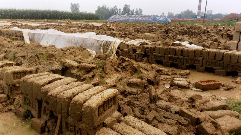বিরামপুরে বৈরি আবহাওয়ায় বহু কাঁচা ইট নষ্ট: সময়ের আগেই বন্ধ হচ্ছে ইটভাটা