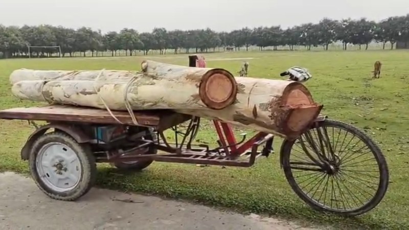 রক্ষকই ভক্ষক, কর্মচারীরাই চুরি করছে গাছ, উজাড় চরকাই বনগবেষণা কেন্দ্রের বাগান