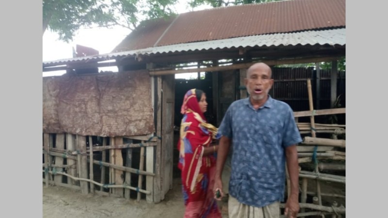 মাগুরা শ্রীপুরের বরিশাট গ্রামে একই রাতে ২ভাইয়ের ৫টি গরু ও ১টি খাসি ছাগল চুরি