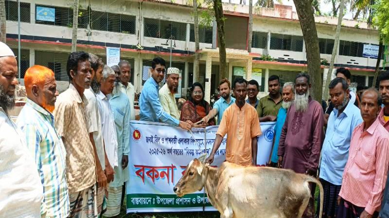 তানোরে জেলেদের মাঝে বকনা বাছুর বিতরণ