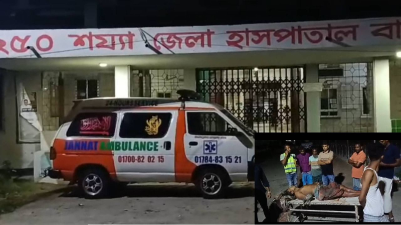 মোরেলগঞ্জে জমিজমা সংক্রান্ত বিরোধে কৃষক নিহত