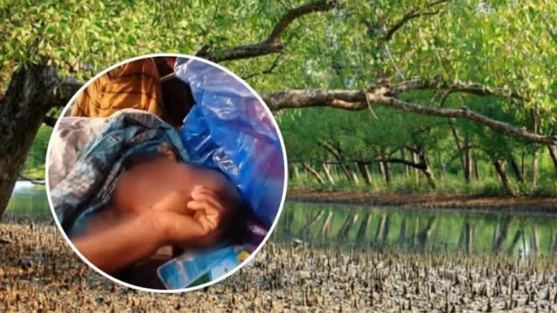 সুন্দরবনের পায়রাটুলি খাল সংলগ্ন বাঘের থাবার কবলে এক মৌয়াল