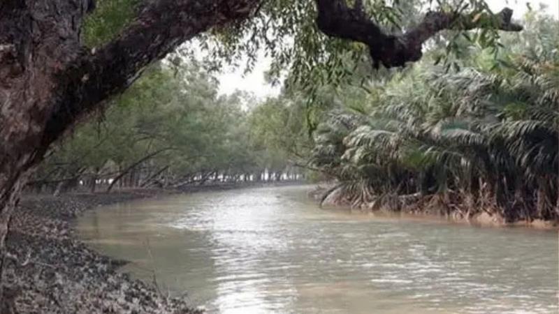 মুক্তিপণের সাত লাখ টাকা দিয়ে জিম্মিদশা থেকে বাড়ি ফিরলো শ্যামনগরের ১৮ জেলে-মৌয়াল