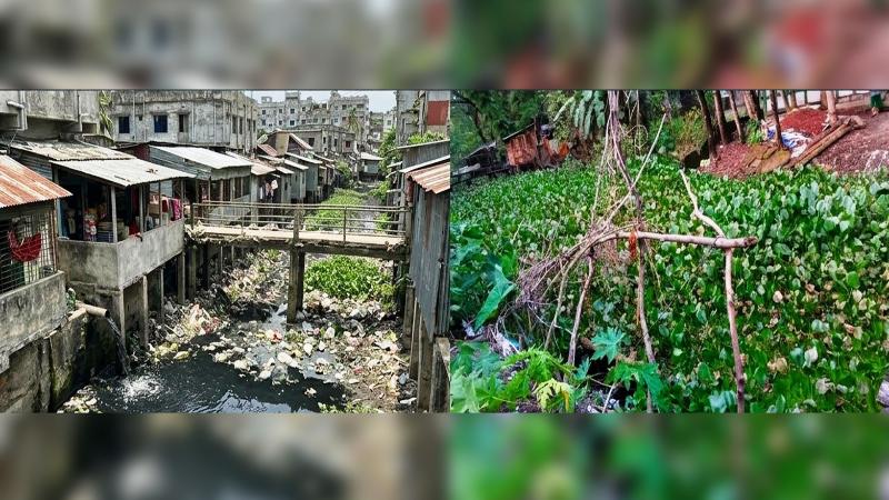 বরিশালের সরকারি খাল যেন ঢাকার বুড়িগঙ্গা! দখলদারদের থাবায় মরণদশায় ভুগছে