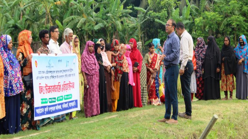 ফকিরহাটে বৈরি আবহাওয়ায় ধান সংগ্রহে প্রযুক্তিগত সহায়তা