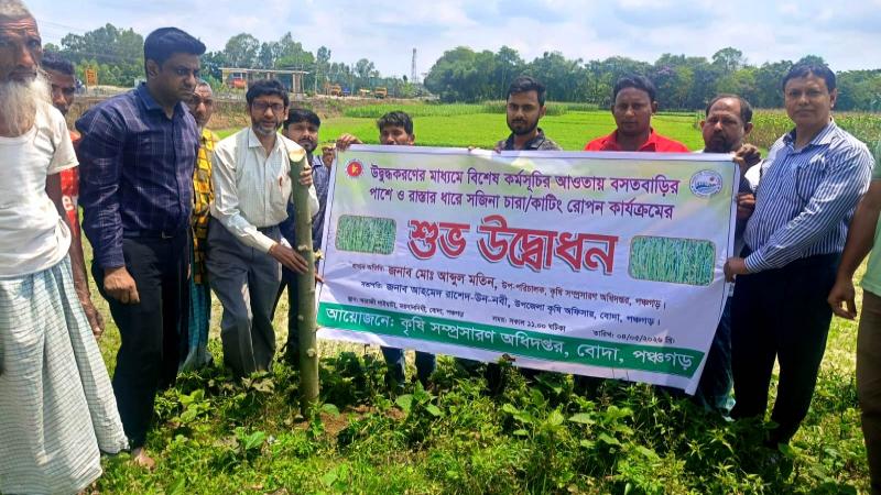 বোদায় সজিনা চাষে উদ্ভুদ্ধকরণ ও চারা রোপণ কার্যক্রমের উদ্বোধন
