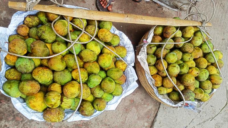 পাঁকা আমের কাঁচা আটি