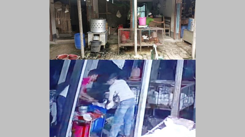 নন্দীগ্রামে তাজা মুরগির সঙ্গে মরা মুরগি মিশিয়ে বিক্রি, ব্যবসায়ীর স্বীকারোক্তি