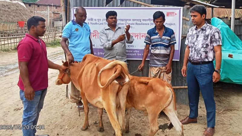 পোরশায় দরিদ্র পরিবারের পশুকে বিনামূল্যে সিসিডিবি’র টিকা প্রদান