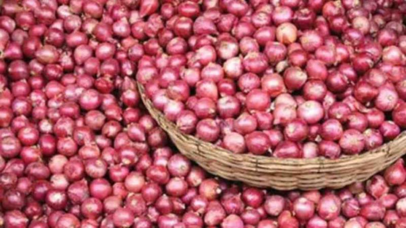 ঝিনাইদহে পেঁয়াজের ভালো ফলন হয়েছে, কৃষক ন্যায্যা দাম না পাওয়ায় হতাশ