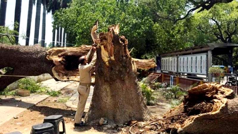 ভারতে বজ্রপাত ও ভারী বর্ষণে নিহত বেড়ে ১১১