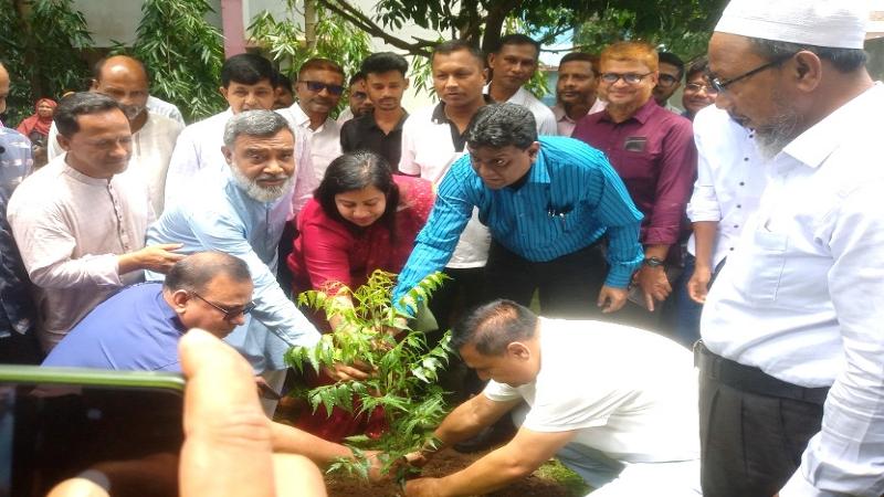 প্রধানমন্ত্রীর অগ্রাধিকার কর্মসুচি পীরগঞ্জে বৃক্ষরোপন ও চারা বিতরণ