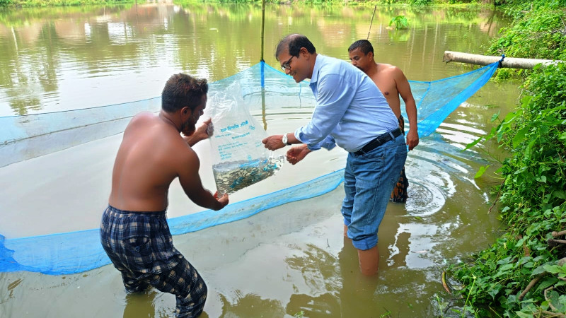মৎস্যসম্পদ বৃদ্ধিতে আমবাড়ীতে ব্র্যাকের পোনা অবমুক্তকরণ কর্মসূচি