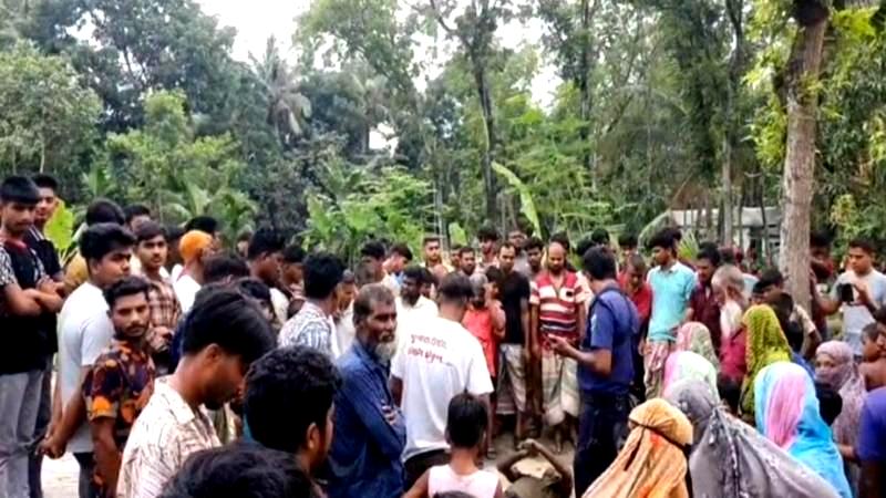 নাটোরে পুকুরে ভাসমান অবস্থায় রিকশাচালকের মরদেহ উদ্ধার