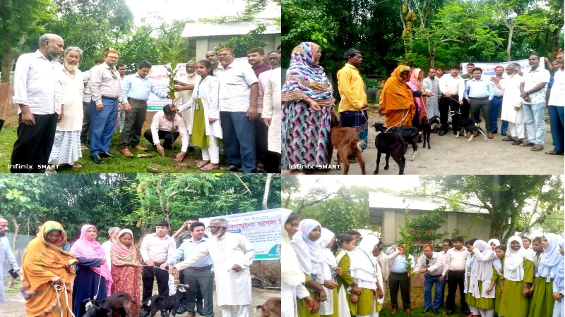 মাগুড়া বালিকা উচ্চ বিদ্যালয়ে বৃক্ষরোপণ ও বিনামূল্যে ছাগল বিতরণ