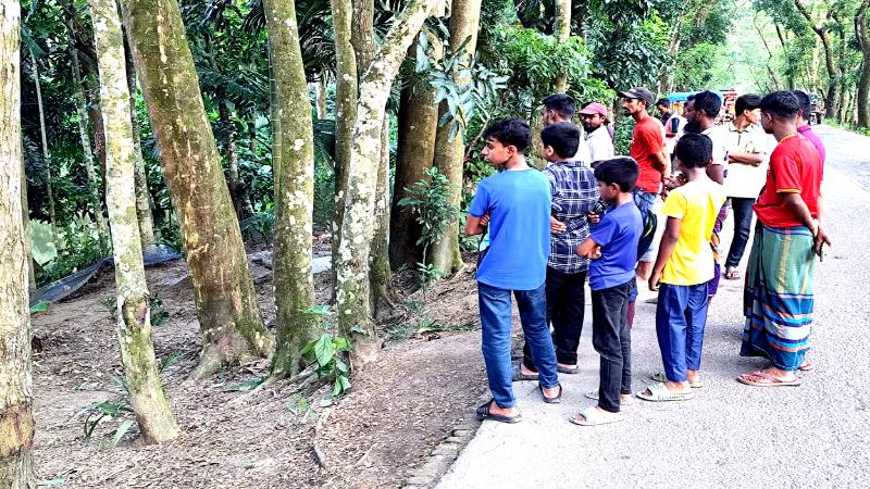 ভোলায় দাফনের ১৯ দিনের মাথায় কবর খুঁড়লেন স্বজনরা ॥ দেখলো জীবিত না মৃত