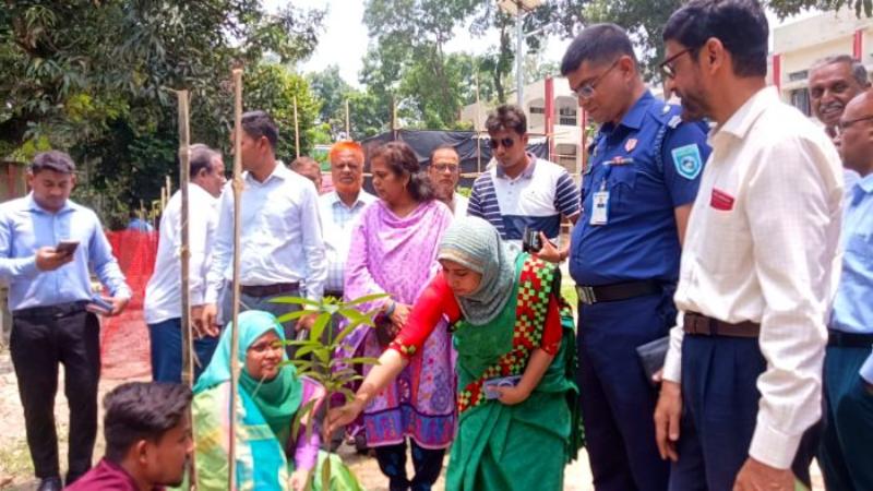 পঞ্চগড়ে বৃক্ষরোপণ কর্মসূচীর উদ্বোধন