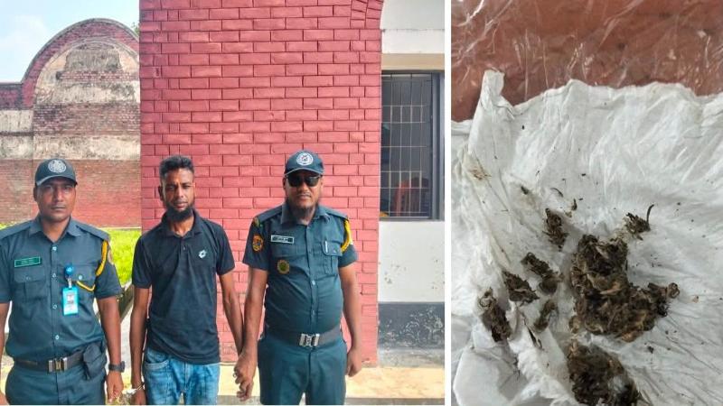 মাগুরা জেলা কারাগারের সামনে গাঁজাসহ দর্শনার্থী গ্রেপ্তার, ৪ মাসের বিনাশ্রম কারাদণ্ড