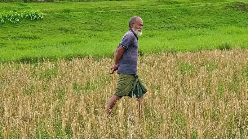 জামালপুরের বকশীগঞ্জ সীমান্তে পুশইনের শিকার সেই বৃদ্ধ গোদাগাড়ীর বাসিন্দা, হস্তান্তর প্রক্রিয়া চলছে