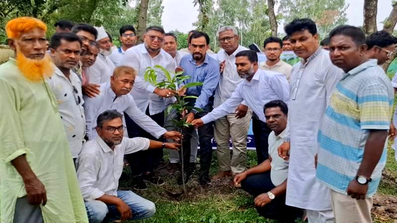 সবুজ বাংলাদেশ গড়ার প্রত্যয়ে জয়পুরহাটে বৃক্ষরোপণ কর্মসূচি উদ্বোধন