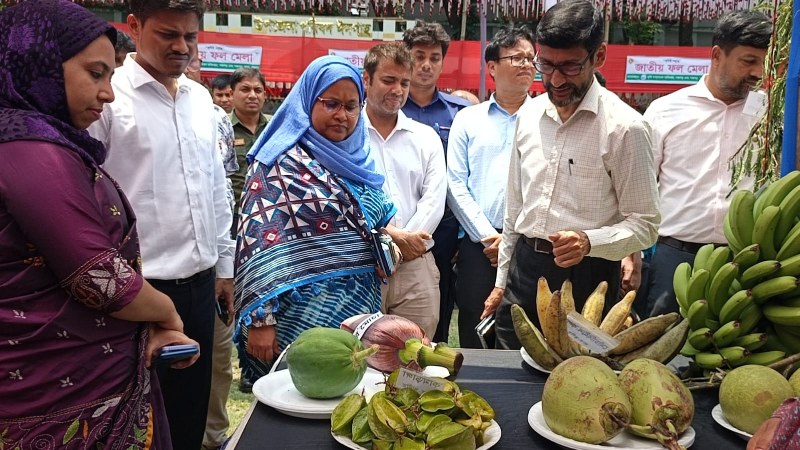 পঞ্চগড়ে তিন দিনব্যাপী জাতীয় ফল মেলা শুরু, গাছের চারা বিতরণ
