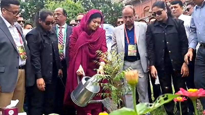 ঢাবিতে বৃক্ষরোপণ কর্মসূচির উদ্বোধন করলেন জুবাইদা রহমান