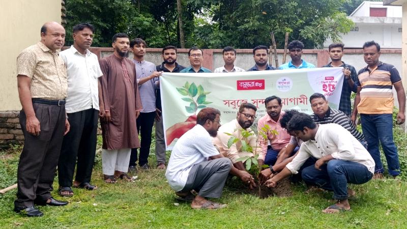 মেহেরপুরে বসুন্ধরা শুভ সংঘের উদ্যোগে বৃক্ষ রোপন ও চারা বিতরণ