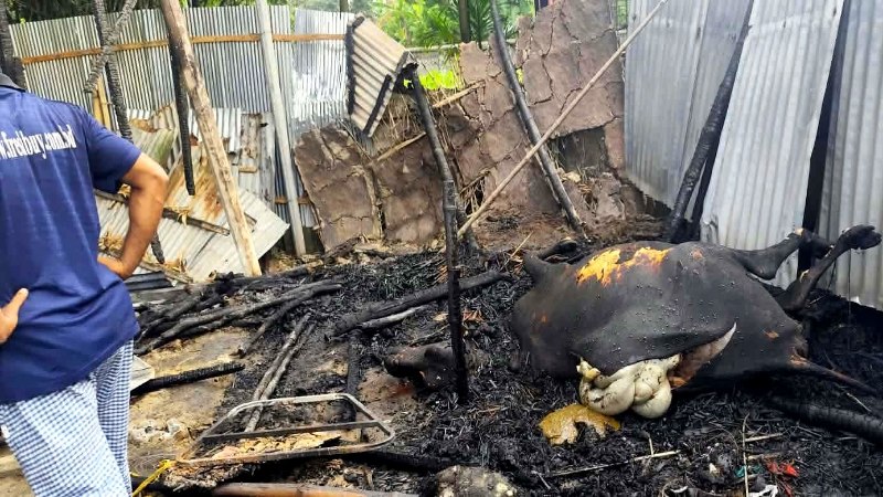নাটোরে অগ্নিকাণ্ডে দুই বসতঘর পুড়ে ছাই, দগ্ধ গৃহবধূ রামেকে ভর্তি