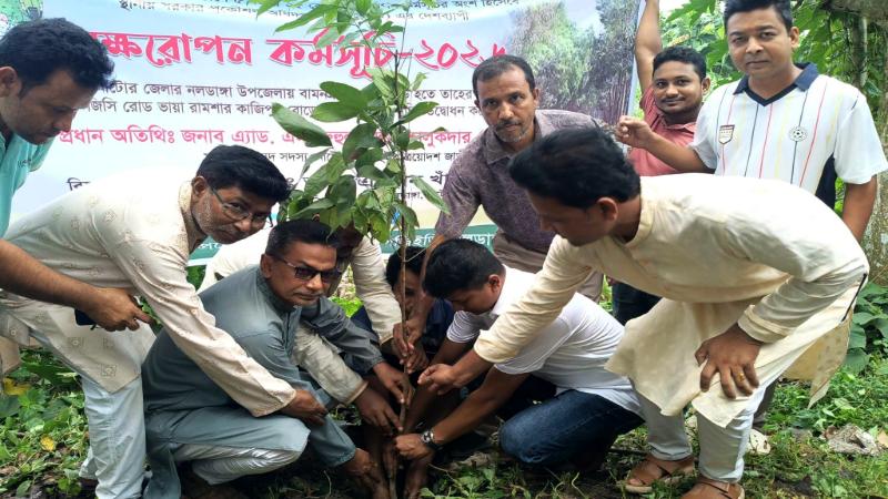 নাটোরে নলডাঙ্গায় এলজিইডির বৃক্ষরোপণ
