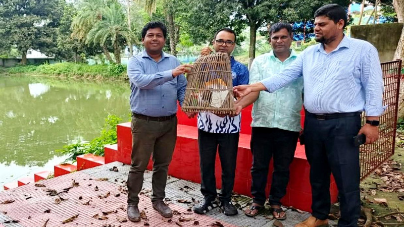 নাটোরে সিংড়ায় খাঁচাবন্দি ডাহুক পাখি অবমুক্ত