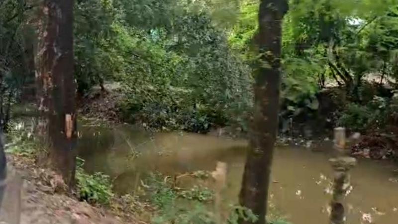 কুষ্টিয়ায় খাল পুনঃখননে কোটি টাকা লোপাটের অভিযোগ!