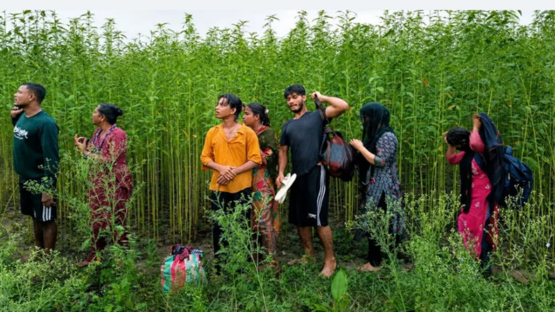 কুষ্টিয়া সীমান্তে আবারো বিএসএফের পুষইন চেষ্টা, ফেরত পাঠালো বিজেপি