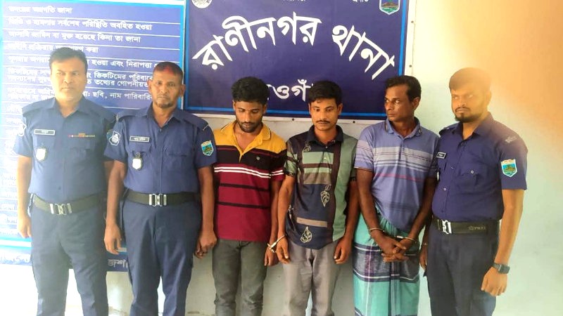 নওগাঁ পুলিশের অভিযানে ৩জন কুখ্যাত আন্ত:জেলা গরু চোর গ্রেপ্তার: ৫ চোরাই গরু উদ্ধার
