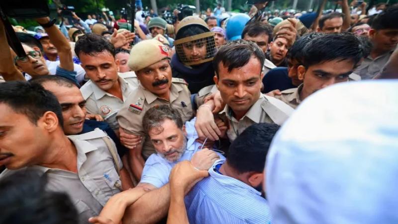 রাহুল–প্রিয়াঙ্কা মুক্ত, আন্দোলন চালিয়ে যাবে ককরোচ পার্টি