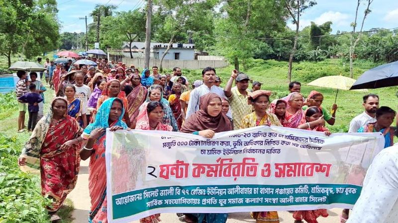সিলেটে চা শ্রমিকদের ৫০০টাকা মজুরিসহ ৪ দাবিতে কর্মবিরতি-বিক্ষোভ মিছিল