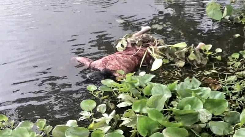 কুড়িগ্রামের রৌমারী উদ্ধার হওয়া ভাসমান নারীর পরিচয় মিলেছে, পরিকল্পিতভাবে হত্যা পরিবারের দাবি
