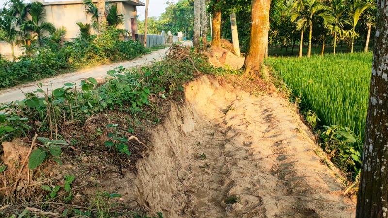ঠাকুরগাঁওয়ে রেকর্ডিয় গ্রামীণ সড়কের মাটি কাটার অভিযোগ