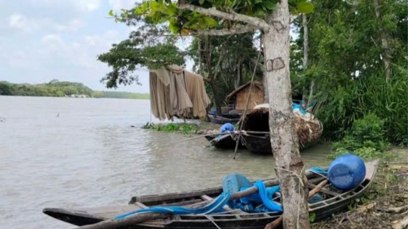পূর্ব সুন্দরবনে বনদস্যু মজনু বাহিনীর হাতে চার জেলে অপহরণ