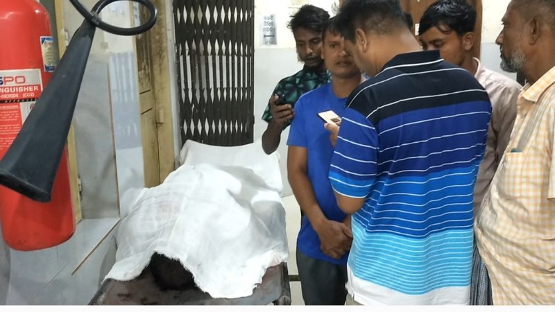 নাটোরে হোমিও চিকিৎসককে কুপিয়ে হত্যা
